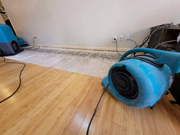 Professional Emergency Water Damage technician working in Fackler, AL